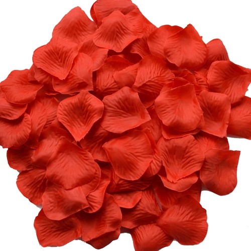 3000 pezzi petali rosa - petali, di