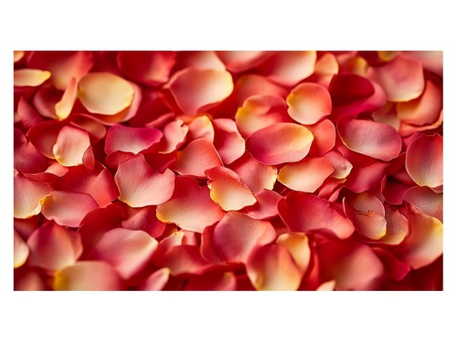 Poster con petali rossi - con, |