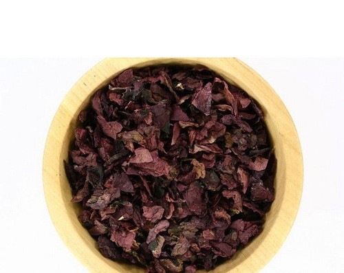 Papavero rosso rosolaccio - papavero,