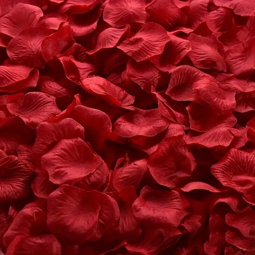 200pz petali rosa rossi - 200pz,