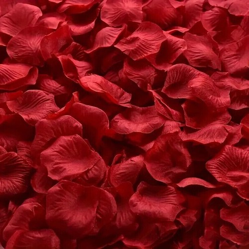 864 petali rosa rossi - 864,