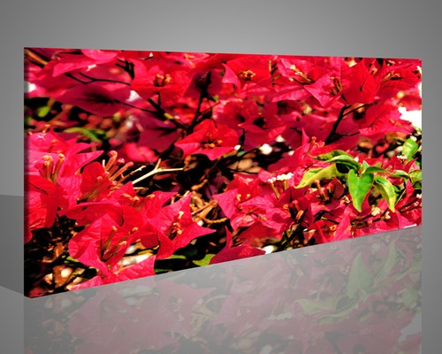Quadri moderni con petali - moderni,