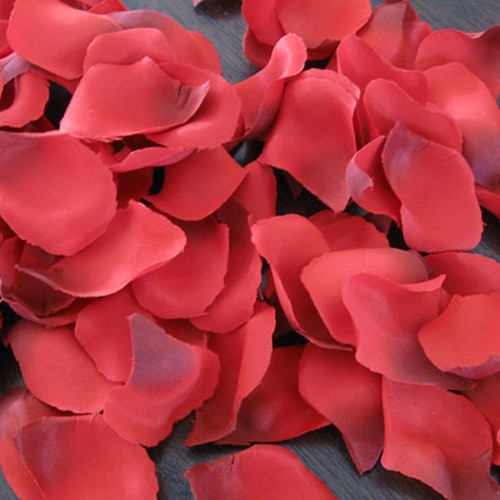 Petali rosa nella scatola - rosa,