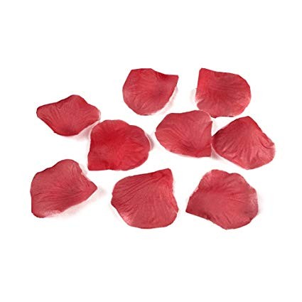 Petali rosa stoffa rosso - rosa,