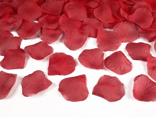 500 petali rosa - di, rosso
