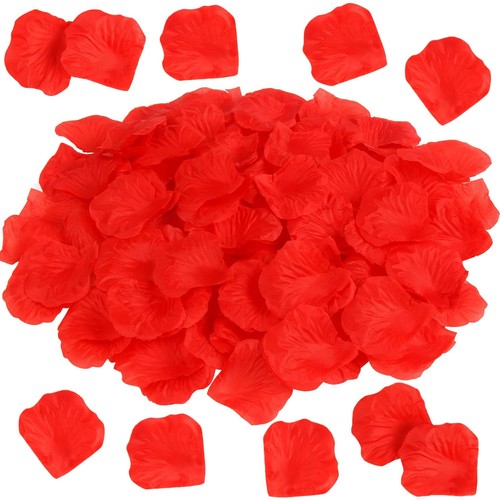 Petali rosa rossa - di,